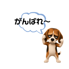 napu_20260514225748