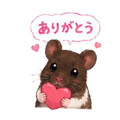 hamham V