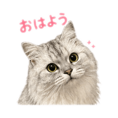nagonago_20260514225830