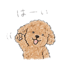non_20260515082655