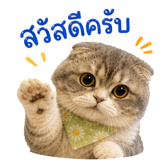 Cattus has arrived