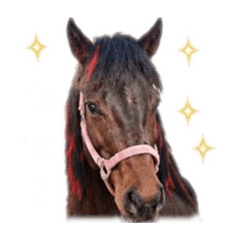 akagimorinooukoku_20260514234322