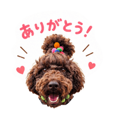 bontakun1