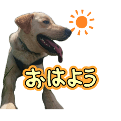 Takeo_20260514214527