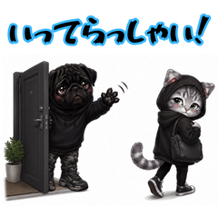 Pa-shi-to Nya-mi2