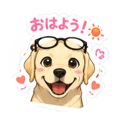 nonponsutanpu_20260515071037