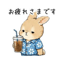 CityBunny