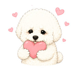 shuka_20260515085518