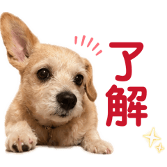 airi_20260515092636