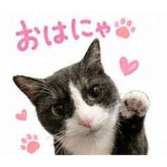 yumiauxsonic_20260515093603