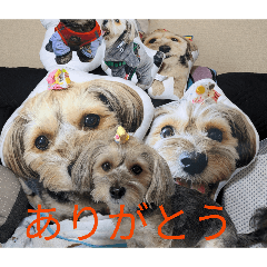 matsumoto_20260515094625