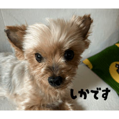Moe_20260504190141