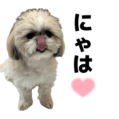 miho_20260515095123