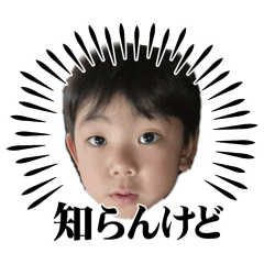 TJMN_20260515095242