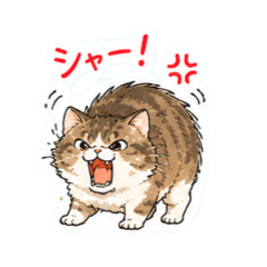 miho_20260515100738