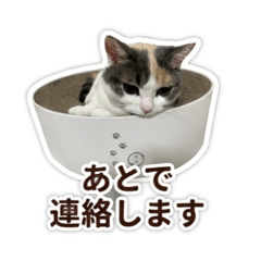 Nana_20260515005557