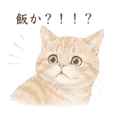 mano_20260515010446