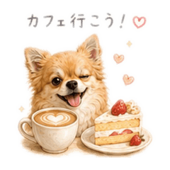 Pomeranian lover_20260515010009