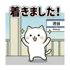 kckcktgm_20260514233325