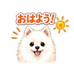 Fluffy Pomeranian Daily Stickers!!