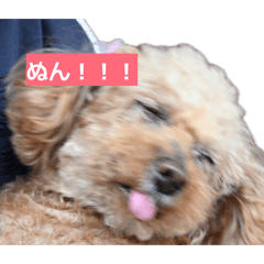 dog fan