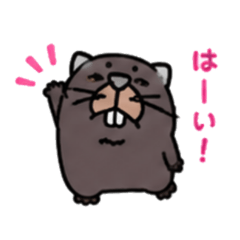 Goro_20260515085440