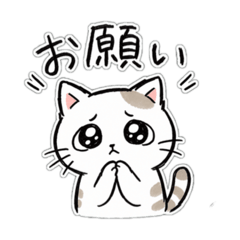 Loose Doodle Cat