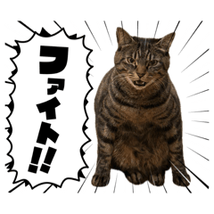 Iruma_20260515083230