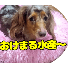 masya_20260515092552
