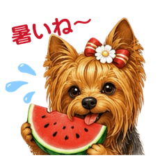 I love Yorkies!Summer stickers