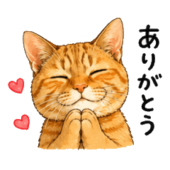 Talking Rin the Cat