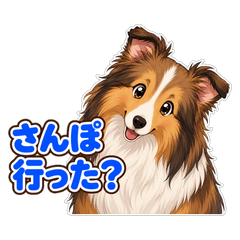 Anime Sheltie: Family Pet Life
