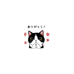 Cute Tuxedo Cat: Everyday Stickers