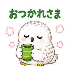 Cute Snowy Owl Daily Stickers