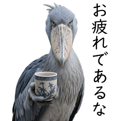 The Silence of the Shoebill