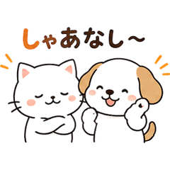 syaanashi DOGandCAT