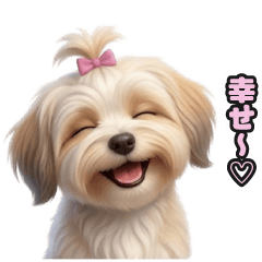 Havanese LINE Stickers 275