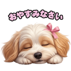Havanese LINE Stickers 274