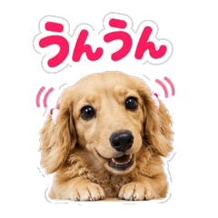 Peace Cute Daily Stickers