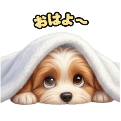 277 Maltipoo LINE stickers
