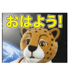 inu_20260516204355