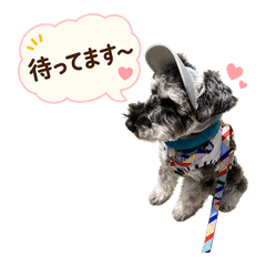 Gentle Keigo Stickers of a Hat Dog