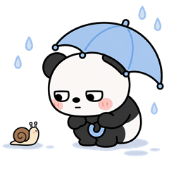 Grumpy cute panda in early summer
