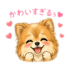 Ayuka_20260516183240