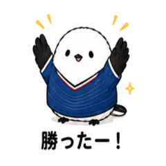 Always Useful! Cute Bird Soccer Stickers