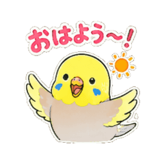 parrot cute - Daily Chat Stickers