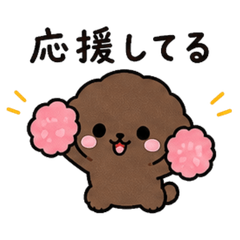 深棕色玩具貴賓犬的療癒貼圖