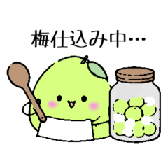 Yuru Ume-chan  ume making