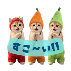 Knit Kittens: Fruit Edition[part.1]