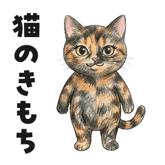 Daily Cat Feelings 007